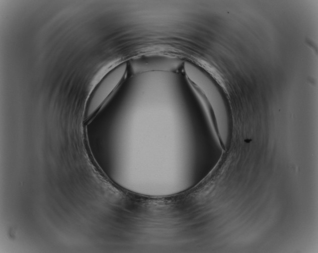 X0000091211330200709061432