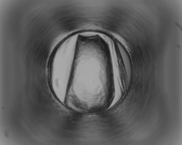 X0000091211335200709061432