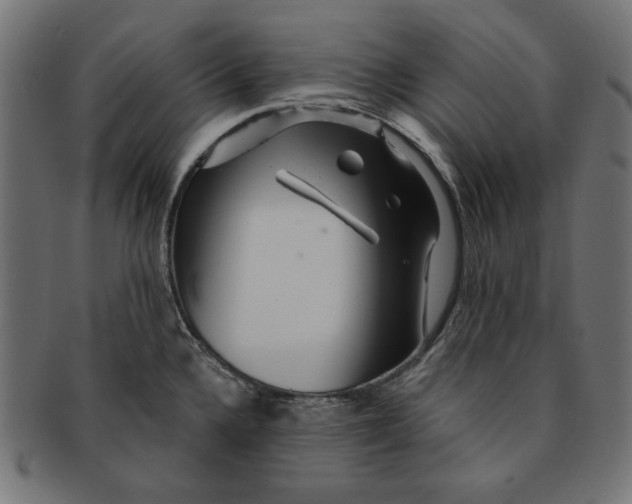 X0000091211336200709061432