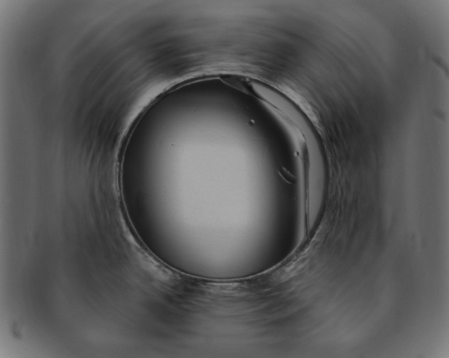 X0000091211342200709061432