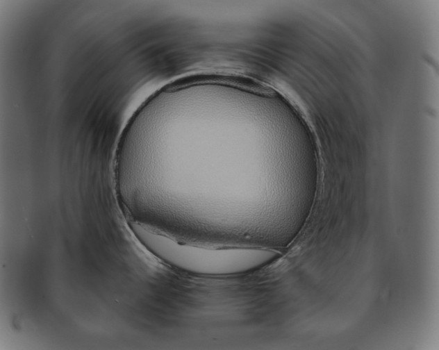 X0000091211344200709061432