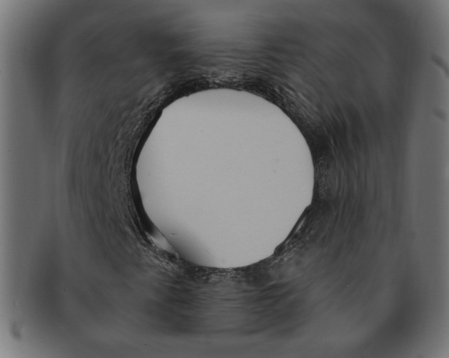 X0000091211345200709061431