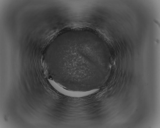 X0000091211348200709061431