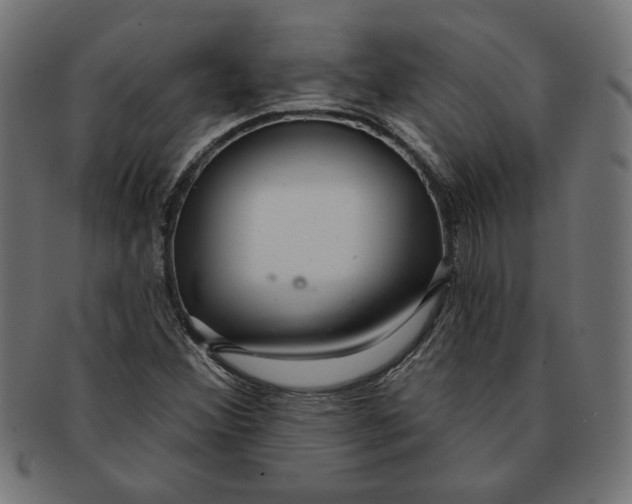 X0000091211356200709061431