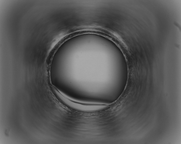 X0000091211360200709061431