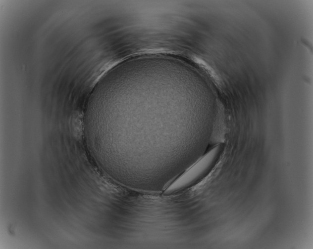 X0000091211361200709061431