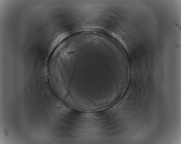 X0000091211362200709061431