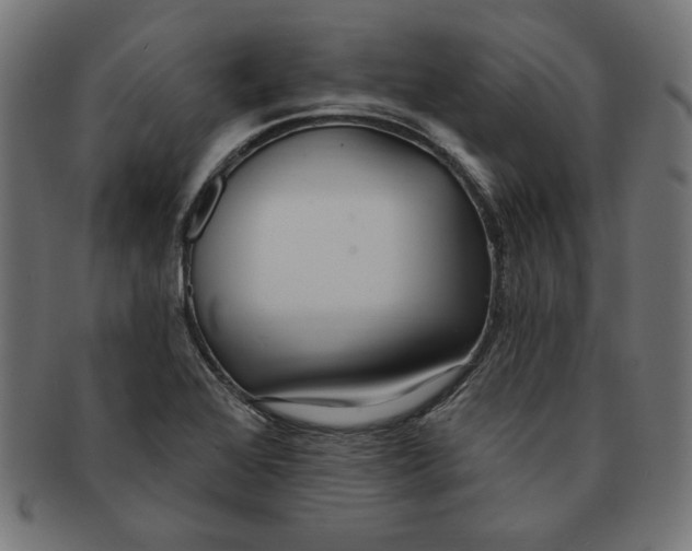 X0000091211368200709061431