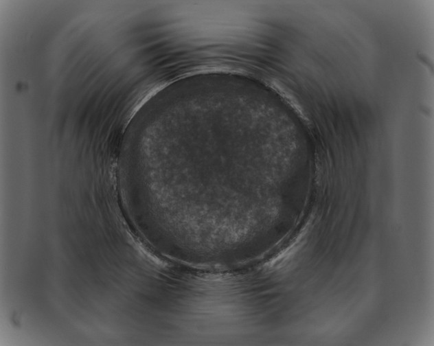 X0000091211369200709061431