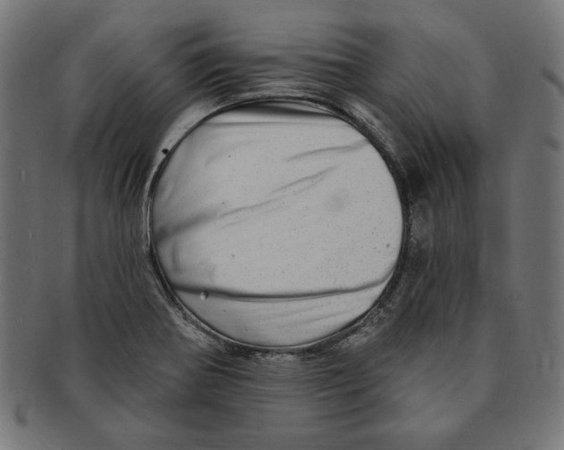 X0000091211370200709061431