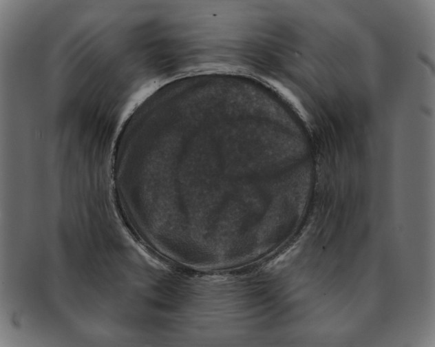 X0000091211373200709061431