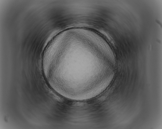 X0000091211374200709061431