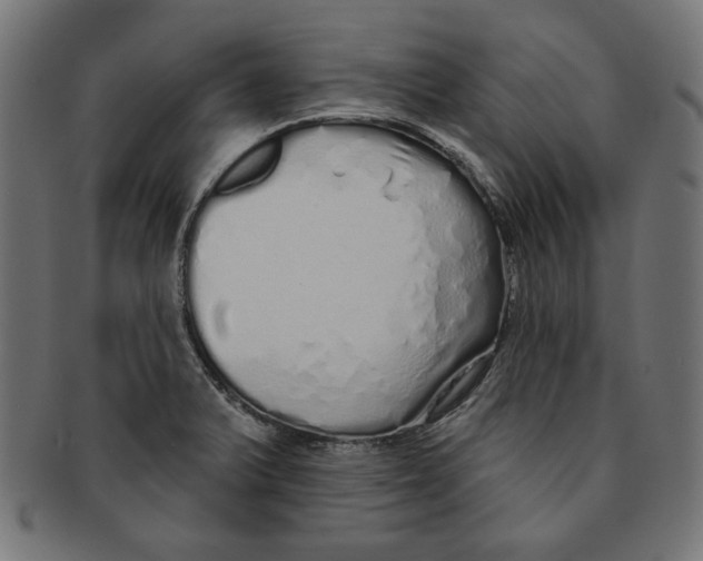 X0000091211375200709061431