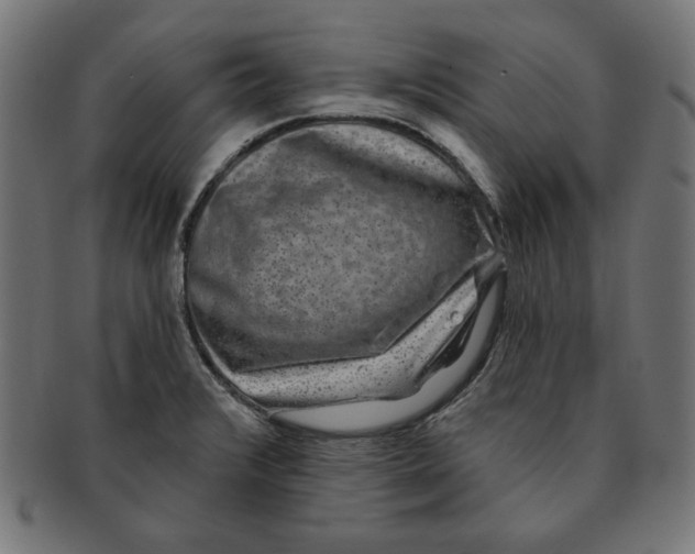 X0000091211376200709061431