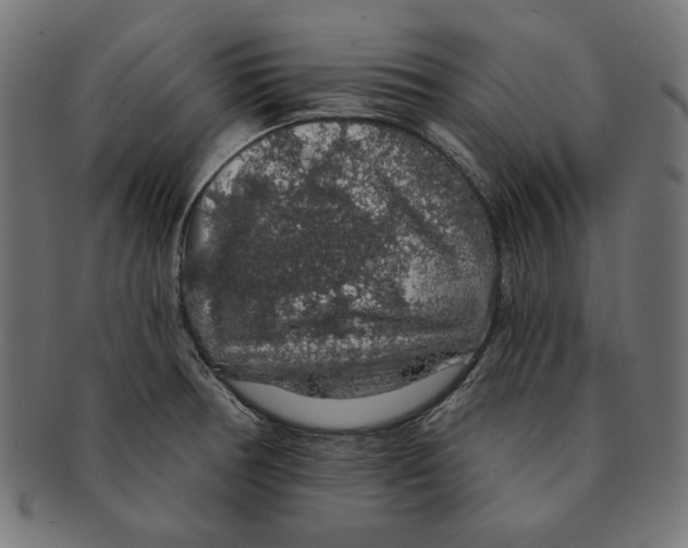 X0000091211378200709061431