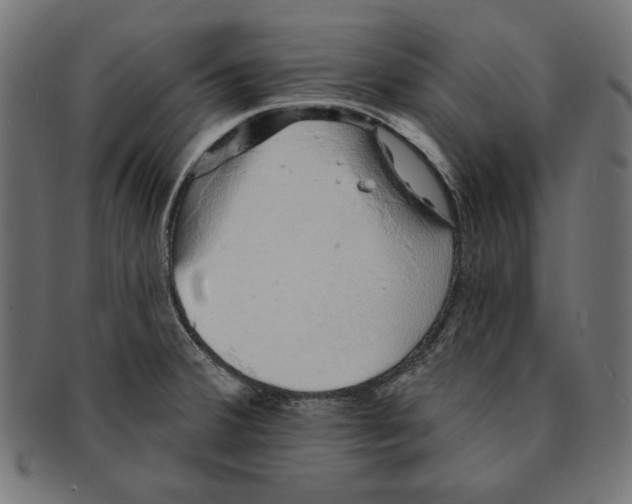 X0000091211380200709061431