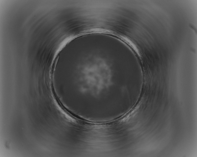 X0000091211381200709061431