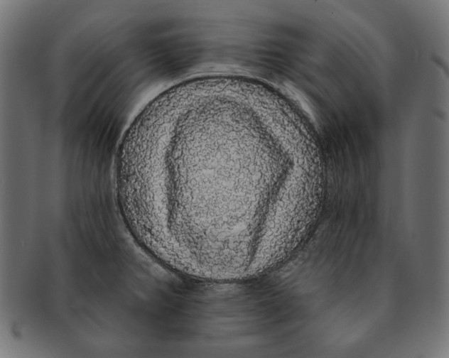 X0000091211382200709061431