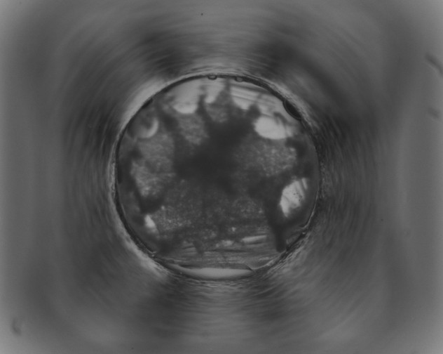 X0000091211383200709061431