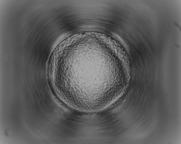 X0000091211386200709061431