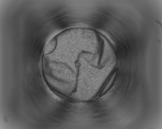 X0000091211387200709061431