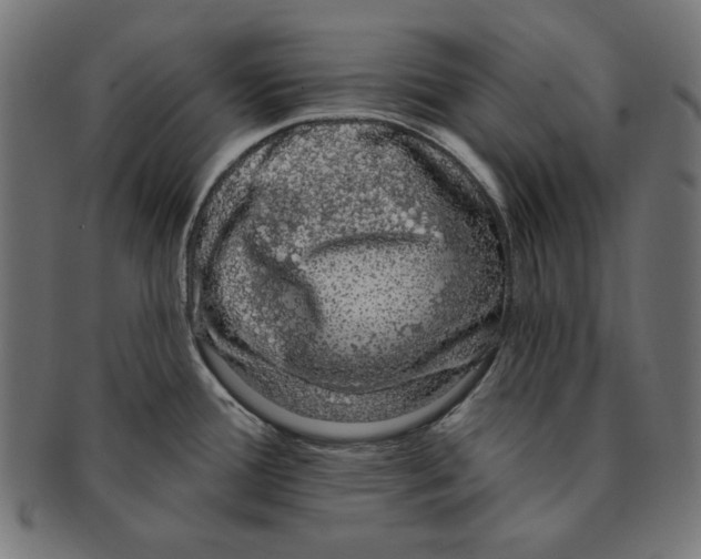 X0000091211388200709061431