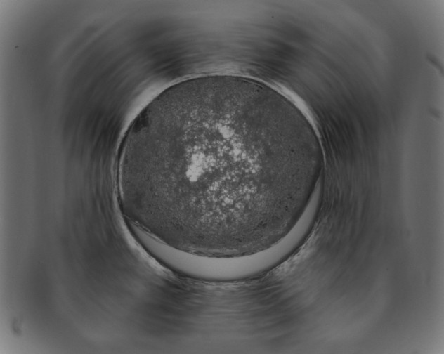 X0000091211389200709061431