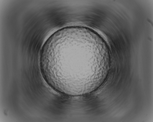 X0000091211390200709061431