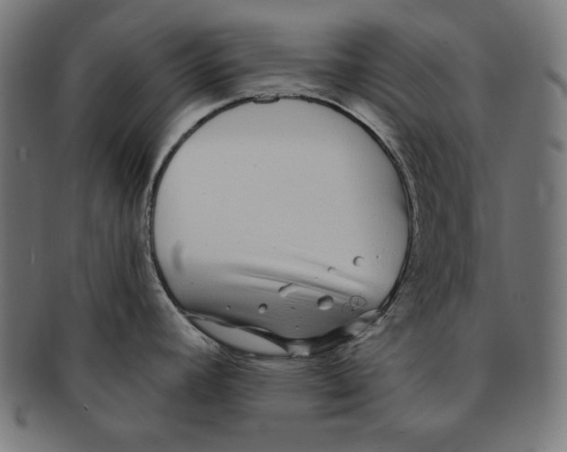 X0000091211392200709061431