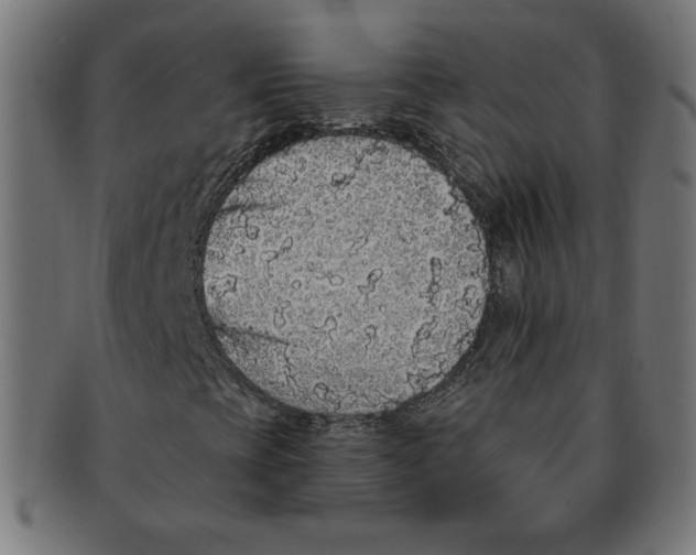 X0000091211393200709061430