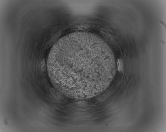 X0000091211395200709061430