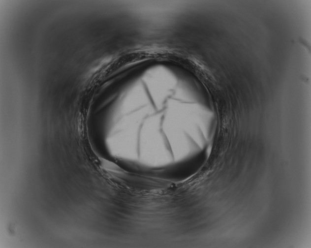 X0000091211398200709061430