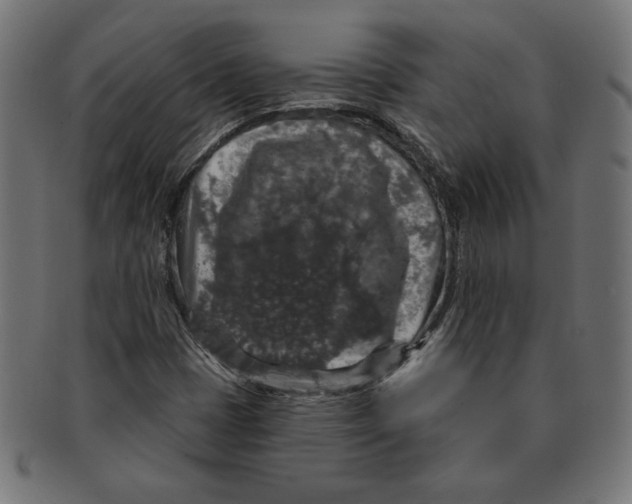 X0000091211401200709061430