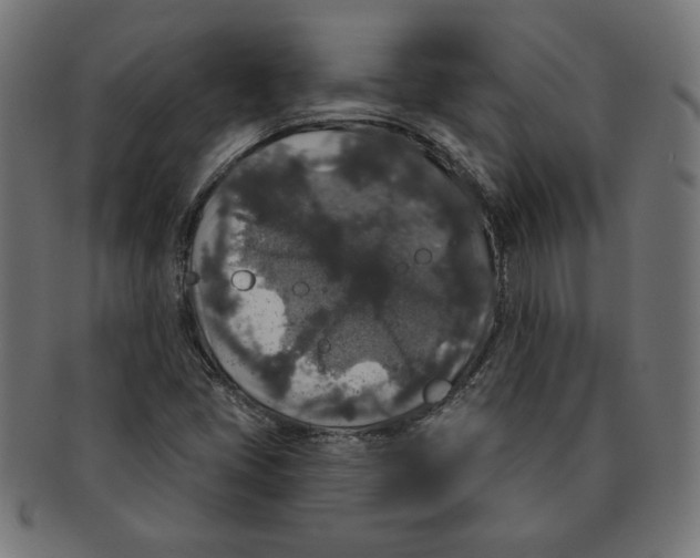 X0000091211405200709061430