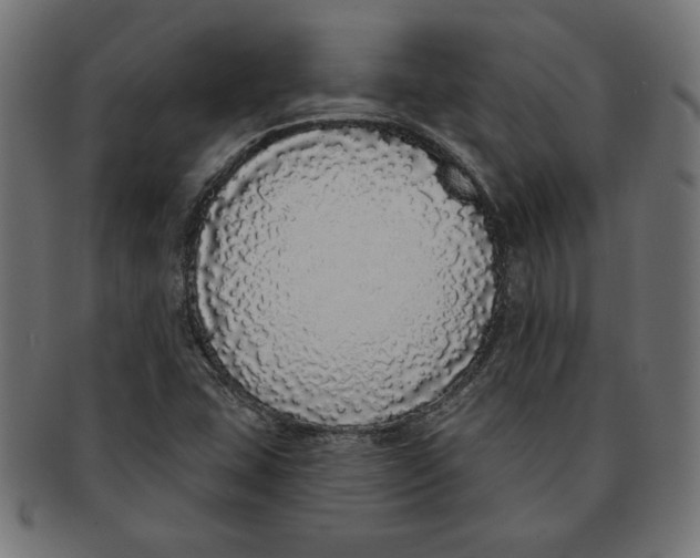 X0000091211407200709061430