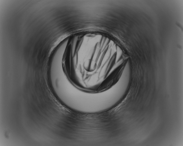 X0000091211410200709061430