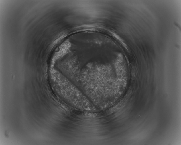 X0000091211411200709061430