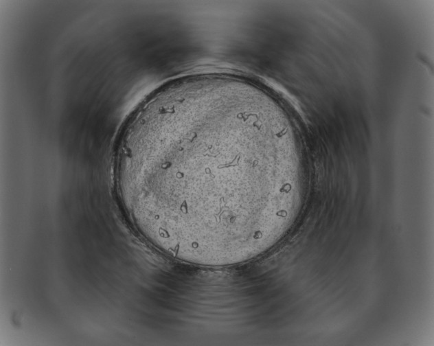 X0000091211415200709061431