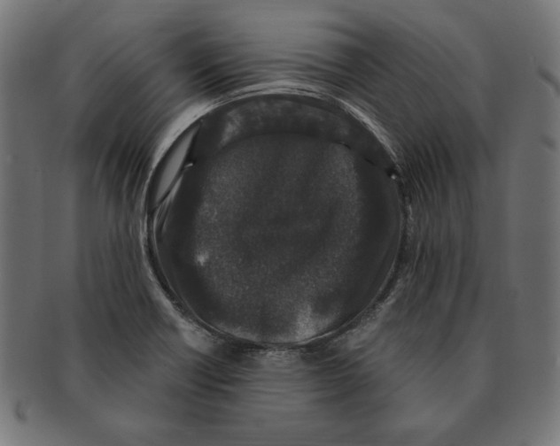 X0000091211418200709061431