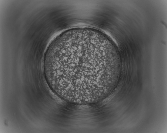 X0000091211421200709061431