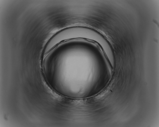 X0000091211422200709061431