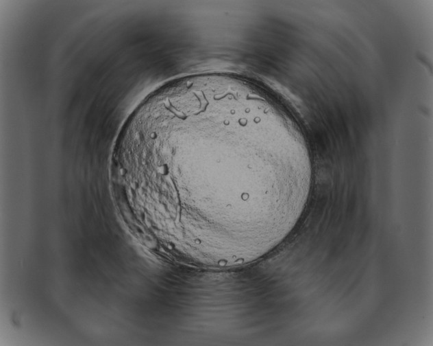 X0000091211423200709061431