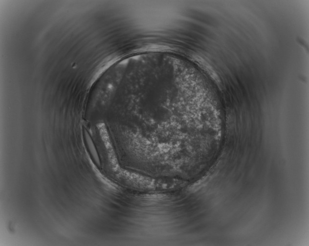 X0000091211425200709061431