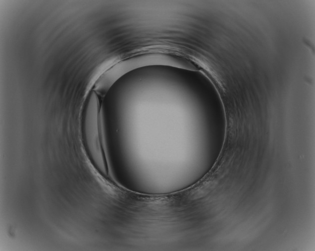 X0000091211426200709061431