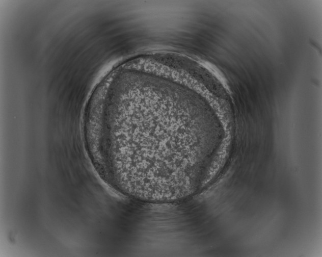 X0000091211429200709061431