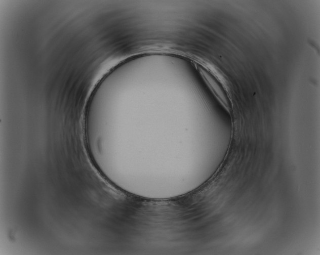 X0000091211432200709061431