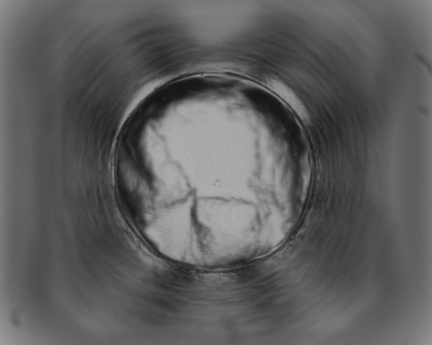 X0000091211436200709061431