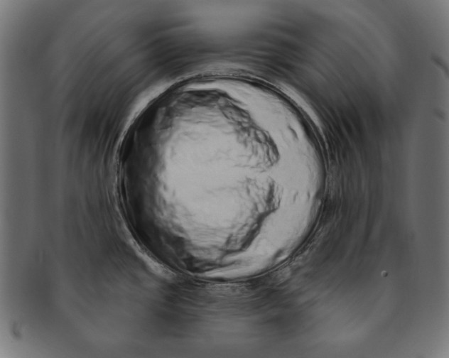 X0000091211437200709061431