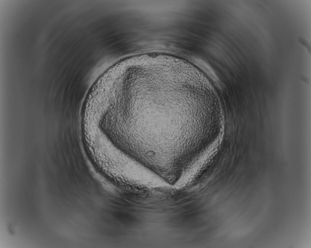 X0000091211439200709061431