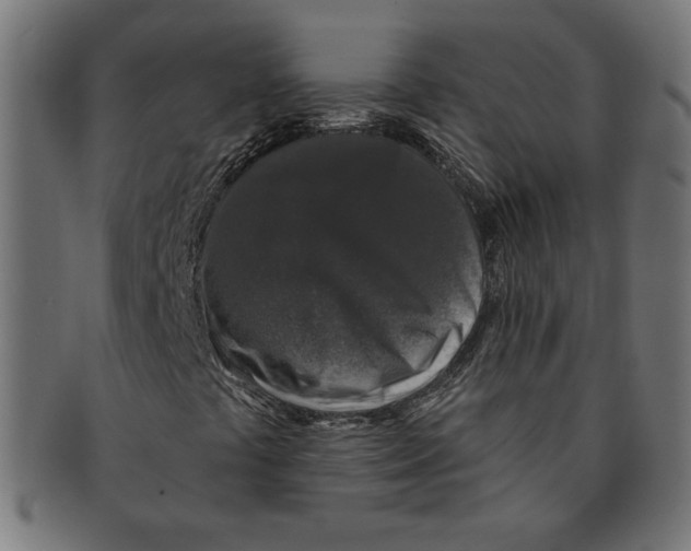 X0000091211441200709061430